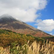 磐梯山の紅葉