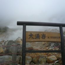 お天気が悪いと一面真っ白です