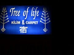 ツリー オブ ライフ 写真