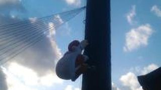 何かをお探しならここ