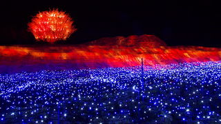 今年もはじまりました！