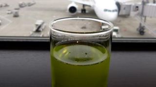 羽田空港国内線ＪＡＬサクララウンジ