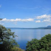 セミの北限・和琴半島