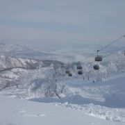 ビッグゲレンデ野沢