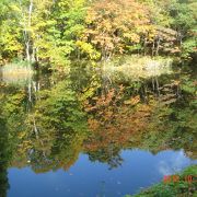 妙高の紅葉はこれからが最高！