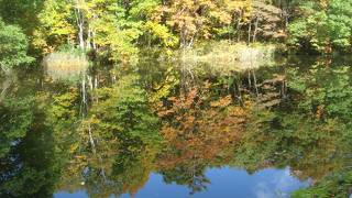 妙高の紅葉はこれからが最高！