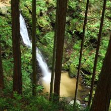 林越しの滝見