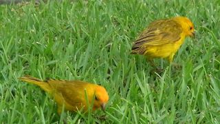 KTAスーパーが便利！