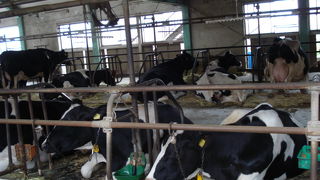 家族もカップルもグループも楽しい！