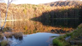 紅葉綺麗でした