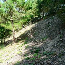 同志社大学京田辺キャンパスの下司古墳群周辺