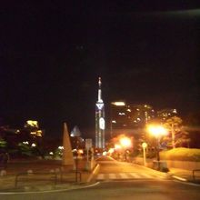 福岡タワーが見えます。