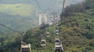 猫空ゴンドラに乗って帰ってくるだけでも十分お勧めです