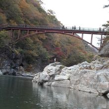 何かがいるの見えますか