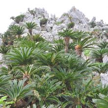 巨大彫刻群がありました