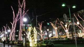 定番のスポット