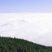 五合目の雲海