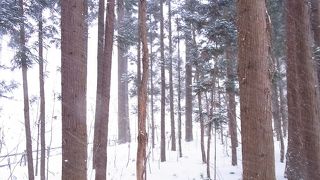 頂上から見える札幌の街並みがいい！！
