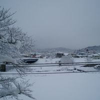 どこが川だか分ります?