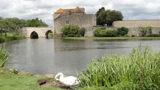 まわりを森と濠に囲まれた美しい城