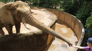 八木山動物公園フジサキの杜 
