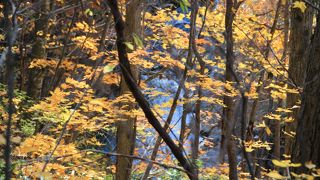 行きはよいよい・・・