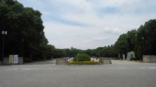 大阪城公園の花壇前から見る絶景ポイント