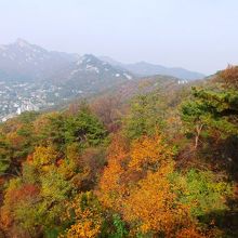 綺麗な紅葉と、後ろに北漢山