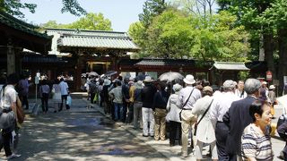 つつじは美しいけど、人は多すぎ