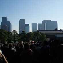 皇居内から坂下門越しに丸の内のビル群を・・・