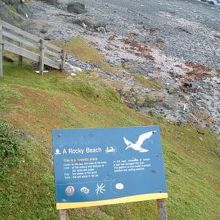 こんな感じのデッキが続いている。