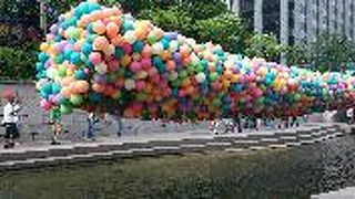 朝の散歩にも！