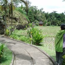 田んぼの中を進んでいくと・・・・奥に見えてきます!
