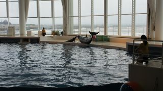 バックヤードツアーが楽しい水族館です！