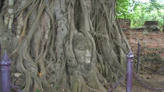 不思議な遺跡（樹木の中の仏像？）　～ワット・プラ・マハタート～