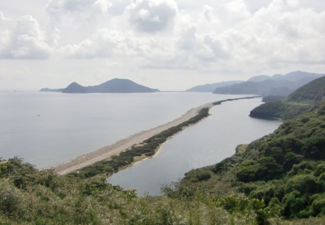 一直線に伸びています