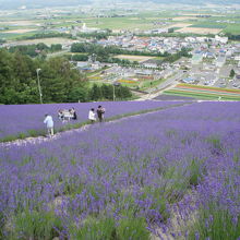 山の上からの眺めが最高