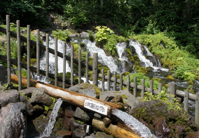 ふきだし湧水という言葉にふさわしい水量