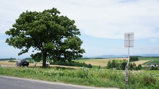 広大な畑の中にそびえたつ