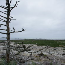 不気味な道を抜ければ視界は開けます