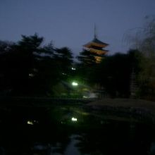 夜の猿沢池