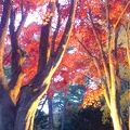 紅葉がとてもきれい。ライトアップもしています。