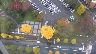 秋も春もきれいです