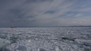 北の動物たちに会えます！