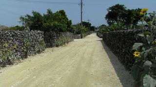 エキゾチックでまるで異国  ＠竹富島の街並み