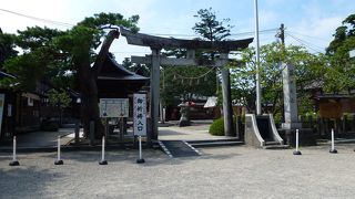 鶴ケ岡城跡 --- これと言って何も残っていないのが残念。