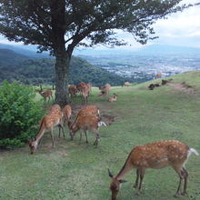 この日はもっともっといっぱいいました。