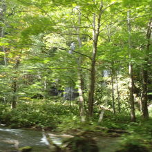 車ではなく歩くべきだった