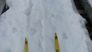 スキーを履いて湿原散策に出る