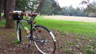 市民憩いの場　広くて開放的